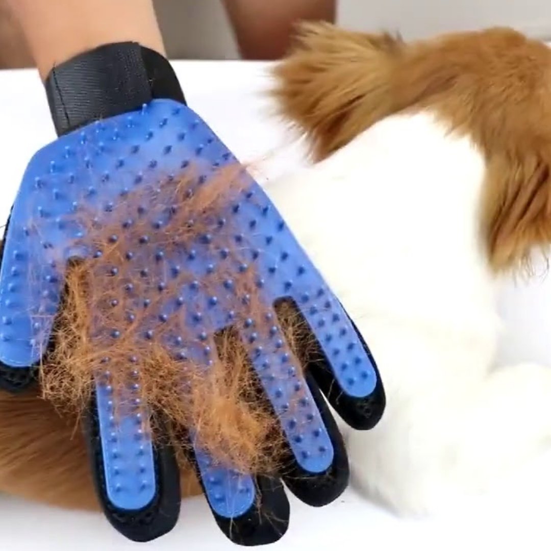 Versatile Pet Grooming Gloves - Waggy Tails